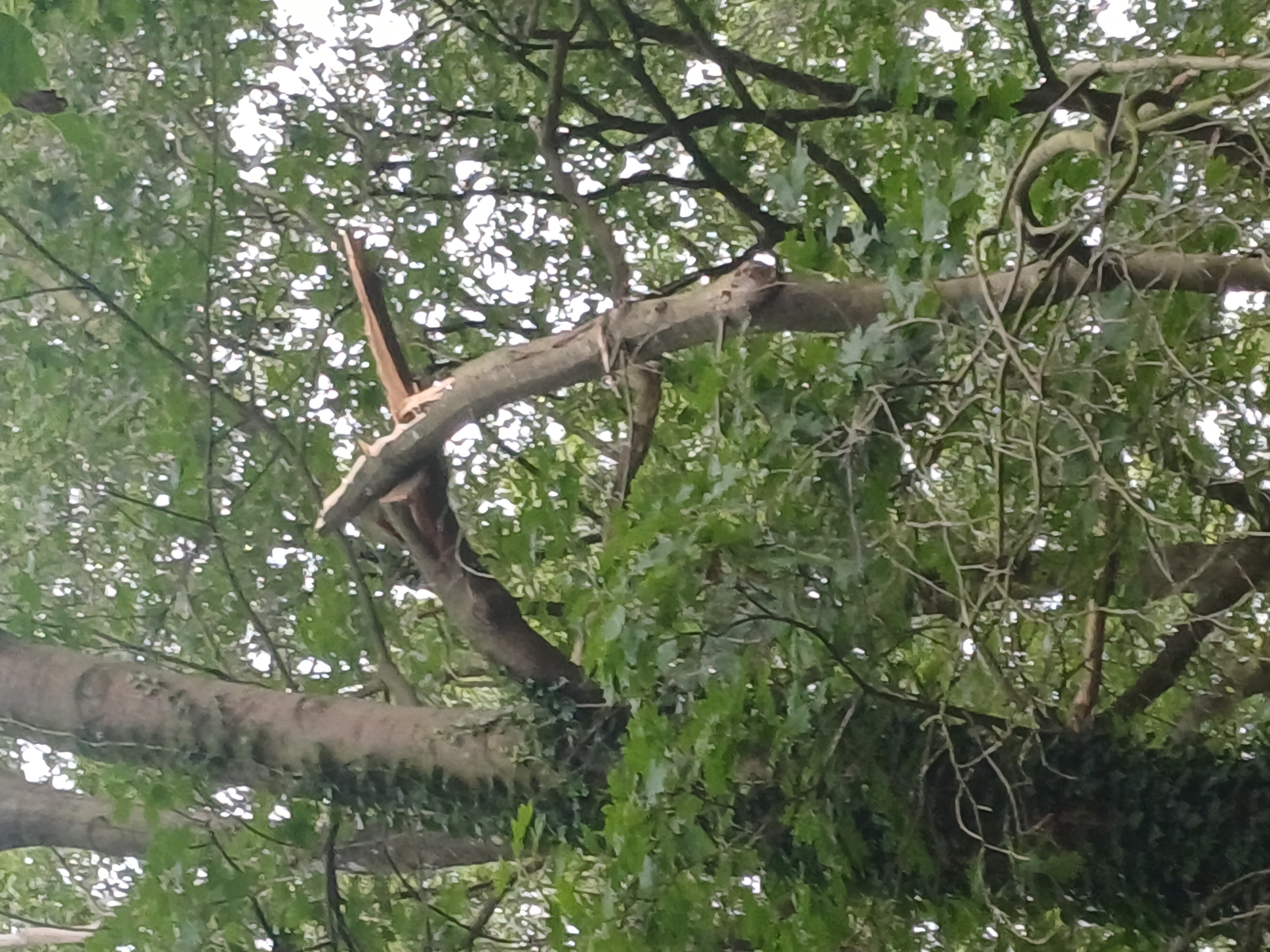 Stormschade